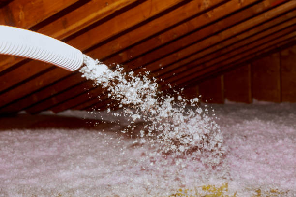 Best Insulation Installation Services in Winter Beach, FL