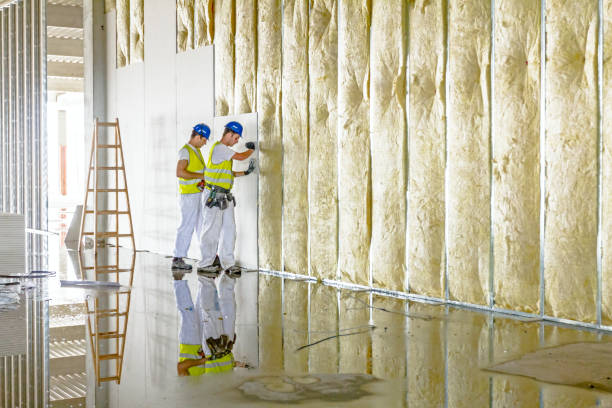 Best Insulation Maintenance and Repair in Winter Beach, FL